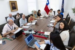 Ministra de Salud convoca a Directora del ISP al comité de expertos de Gripe Aviar